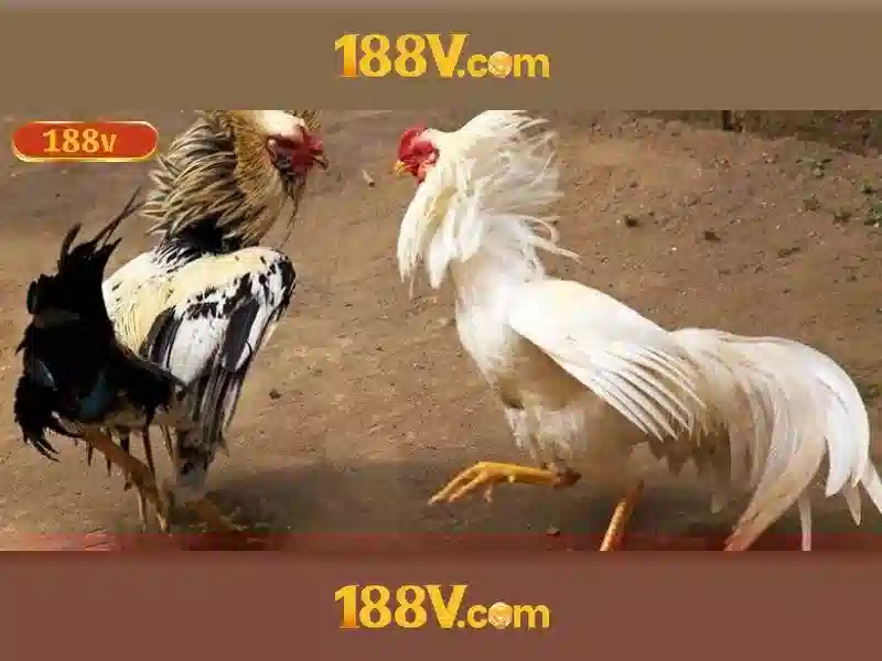 Khái niệm 188v