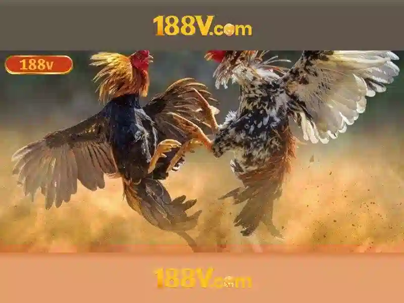 Khái niệm cơ bản về 188V