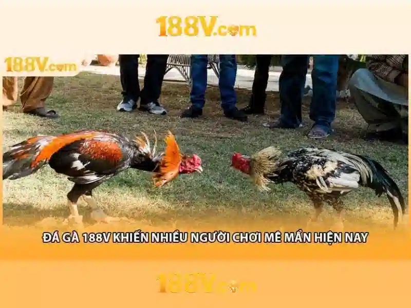 soicau mn vip.html - ids.vnua.edu.vn