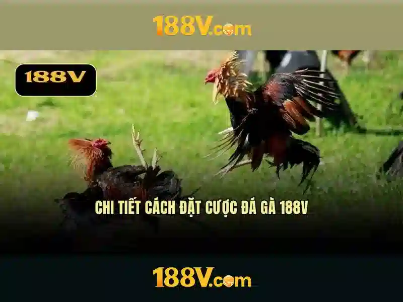 Nguồn gốc và ý nghĩa
