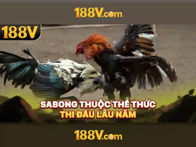 Nguồn gốc và ý nghĩa của 188V