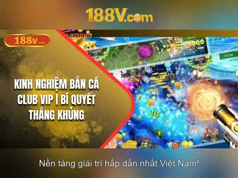 'Khái niệm cơ bản của 188v'