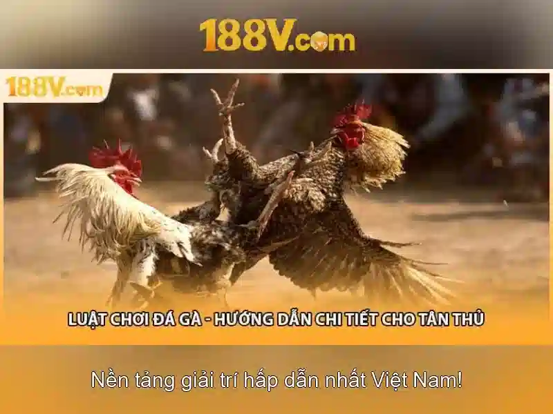 Khởi đầu 188v