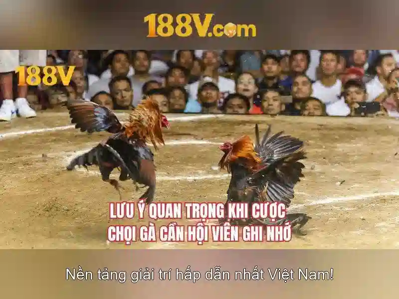 Nguồn gốc của 188v
