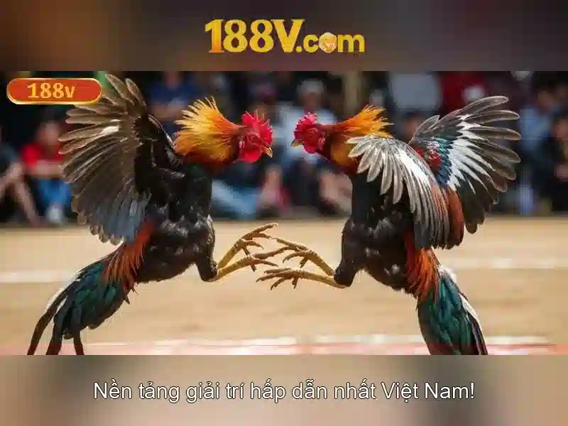 An toàn khi làm việc với 188V