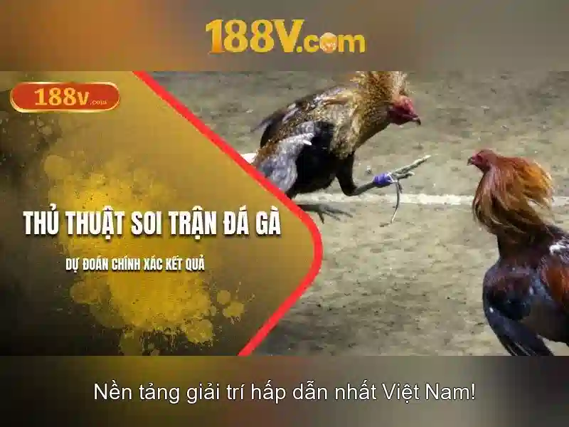 Ảnh hưởng đến người xem