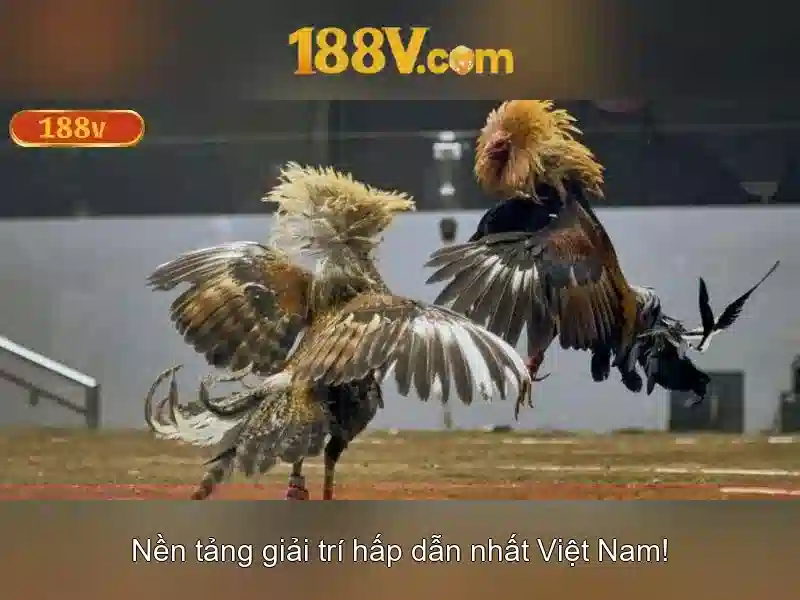 Ứng dụng và thách thức