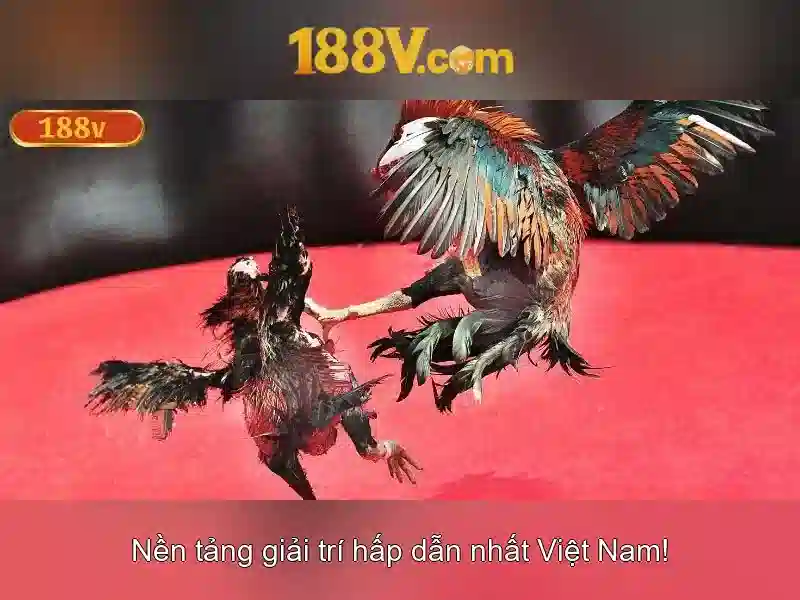Ứng dụng công nghệ và tính thời gian