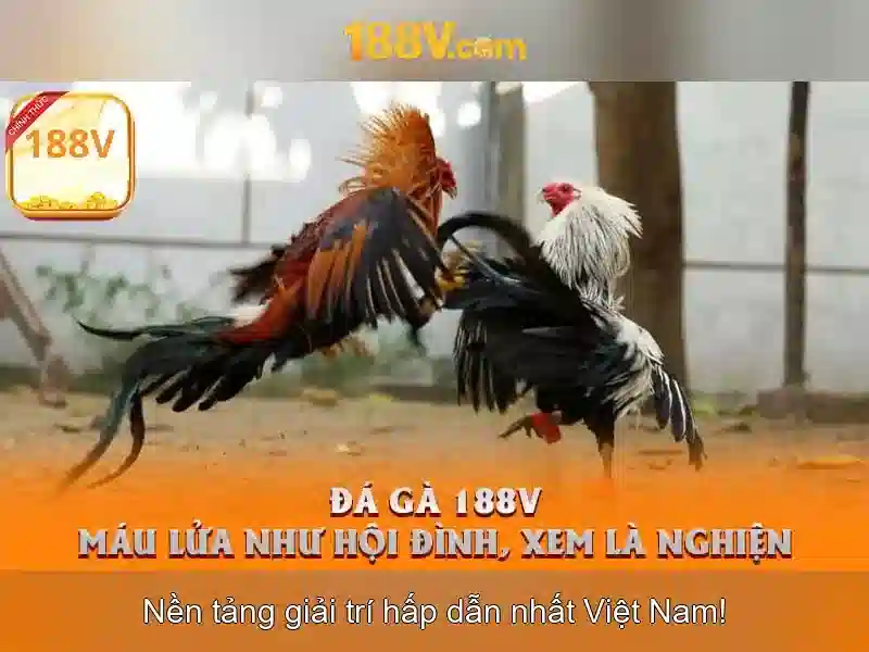 Nguồn gốc và tiêu chuẩn