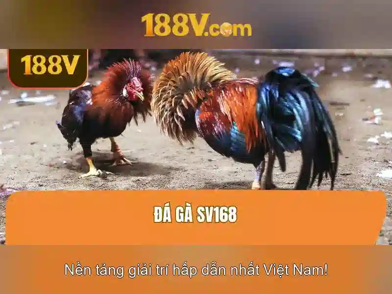 Nguồn gốc và lịch sử ngắn gọn