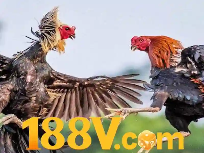Nguồn gốc và ý nghĩa của 188V